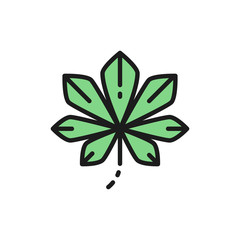 Chestnut tree leaf, Kyiv chestnuts flat color line icon.
