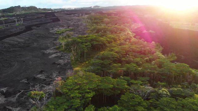 sunset over beautiful albizia forest in puna Hawaii aerial of new lava flow and remaining island of forest