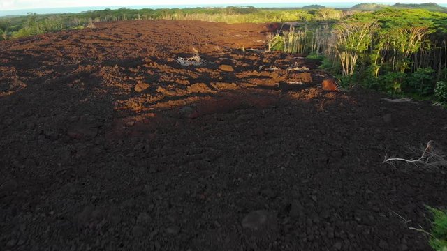 aerial shot of live and burned trees next to fresh lava flow in puna Hawaii