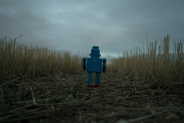 Juguete en campo solitario nublado