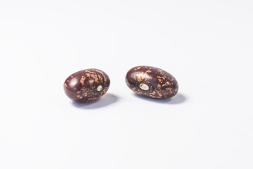 Red bean, acacia bean