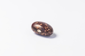 Red bean, acacia bean