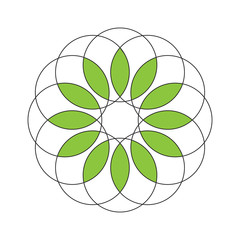 flower geometry design
