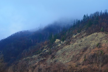 Mountain river water landscape. Wild river in mountains