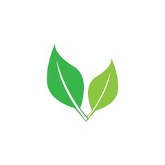 Fototapeta premium Vegan icon Vector Illustration design Logo