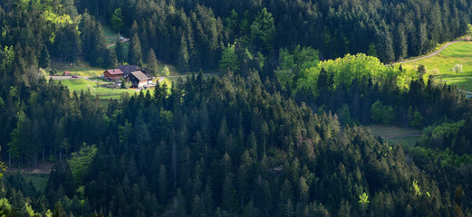 Panoramic picturesque landscape of a European secluded country house in a forest of Schwarzwald, Germany