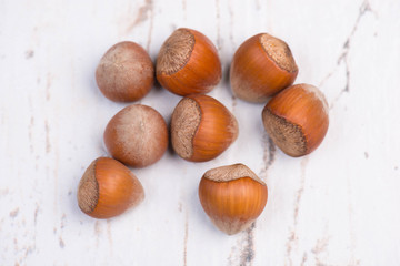 Hazelnuts on a white textrured background, empty copy space