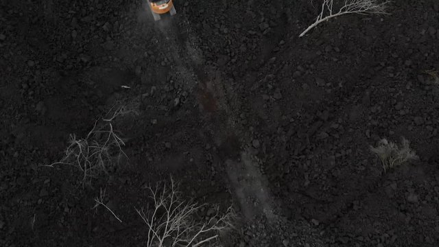 excavator moving across fresh lava in puna Hawaii burned out trees from the flow scattered around