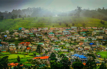 Obraz premium Houses from village area Nuwara Eliya, Sri Lanka