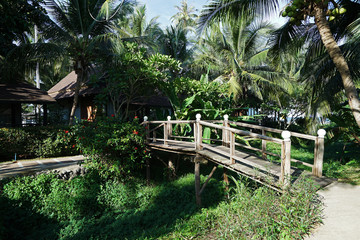 Wooden bridge among green nature to hotel villa