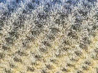 Background of a sheet of slate covered with frost