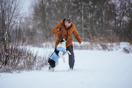 The owner walks his dog in a post-operative bandage in snowy winter weather.
