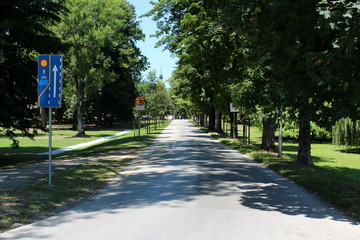 Paved alley with bicycle track surrounded with tall old trees and freshly cut grass in local public park on warm sunny summer day