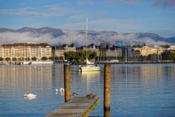 Sur les rives du lac de Genève
