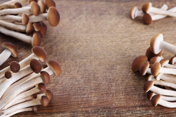 Honey mushrooms (fungi) on a wooden background.