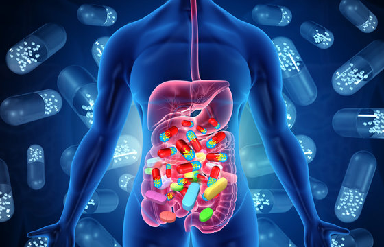 Medicines affect human digestive system. human body and digitive system with medcines. 3d illustration.