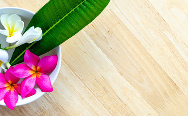 Two tone plumeria with leaf in the bowl
