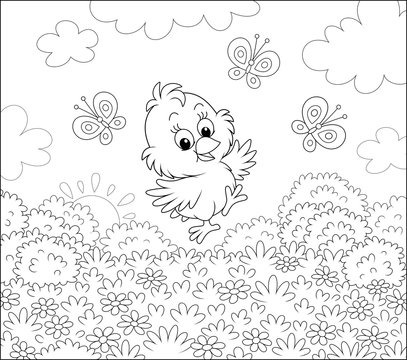 Cute little chick dancing for joy with funny butterflies among wild flowers of a pretty lawn on a sunny spring morning, black and white vector cartoon illustration for a coloring book page