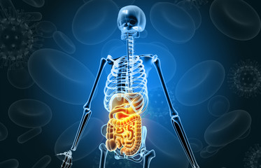 Human skeleton on medical background. 3d illustration.
