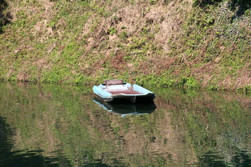 Vintage retro old dilapidated inflatable rubber boat with washed light blue color left in calm river tied to river bank covered with fresh and dried grass