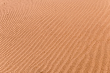 Texture of rippled sand