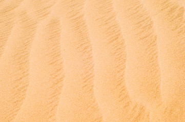 Seamless texture of the sand 