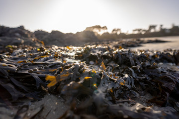 Bretagne im Winter Dezember 