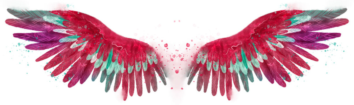 Beautiful watercolor magic bright pink red wings with green and white feathers