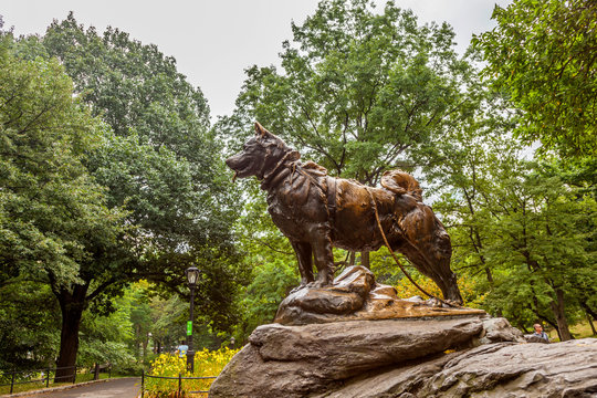 monument of siberian husky Balto