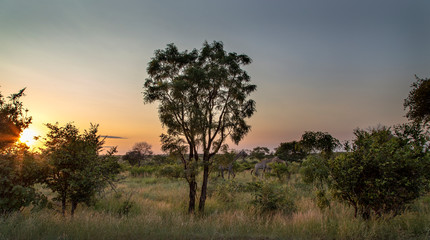 Fototapeta na wymiar Sunrise on the Mpumalanga escarpment 