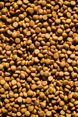 Dry pet food texture background. Food pattern. Chewing treats for pets. Isolation. Your text space. Small brown round pieces.