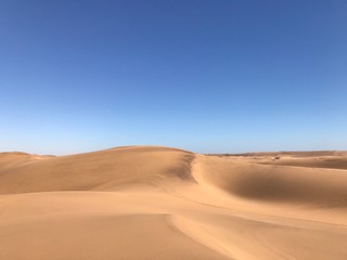 Fototapeta na wymiar Desert dunes 