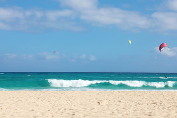 Beautiful view of Corralejo Dunas beach with kitesurfers, Fuerteventura, Canary Islands