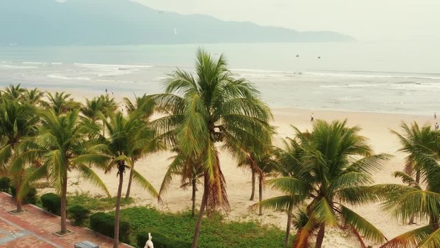 Palm tree row at da nang beach in vietnam travel destination