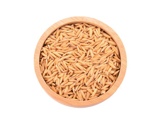 Paddy isolated on white background