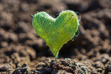 green heart in the field