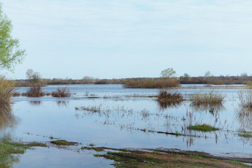 Spring flood on the river. High water