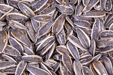 Sunflower seeds on a white background