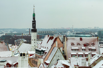 Obraz premium tallinn estonia city center and the old town winter season wallpaper