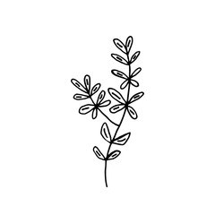 Plant vector doodle illustration. Herbs, flowers. Natural ingredient, organic, vegan cosmetics. Sticker, icon, hand drawn illustration.