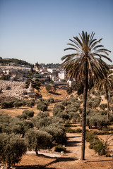 view of Jerusalem city