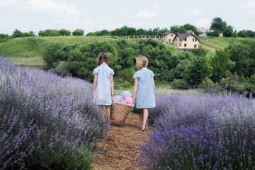 Children in lavender field catching cloud of wool.