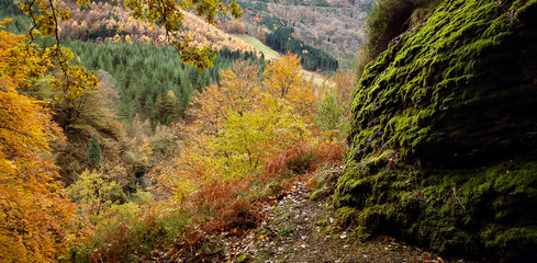 Ausblick von moosbewachsenem Felsen in Herbstwald