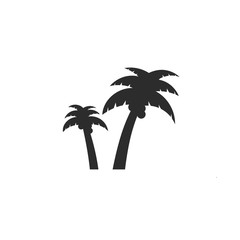 Fototapeta na wymiar silhouette of a palm tree