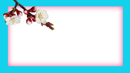 White frame with light blue stroke and peach flowers. Spring greeting card with place for text_