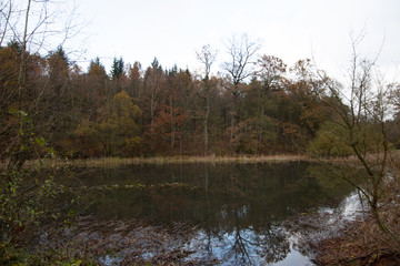 Wald in Schwäbisch Hall im Herbst 2019