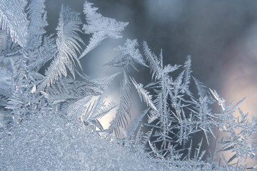 frost patterns on winter glass