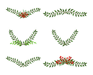 Set of symmetrical floral graphic design elements