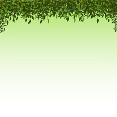 Obraz premium frame of branches with leaves on the background with a green and white gradient