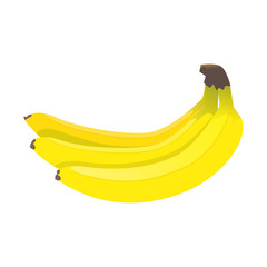 Vector image, yellow ripe bananas on an isolated white background.